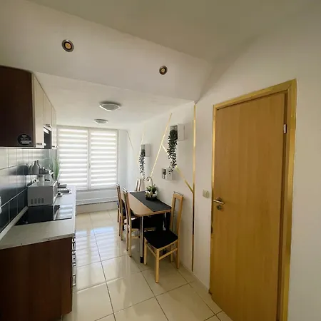 Alpesi Downtown בית הארחה סופרון