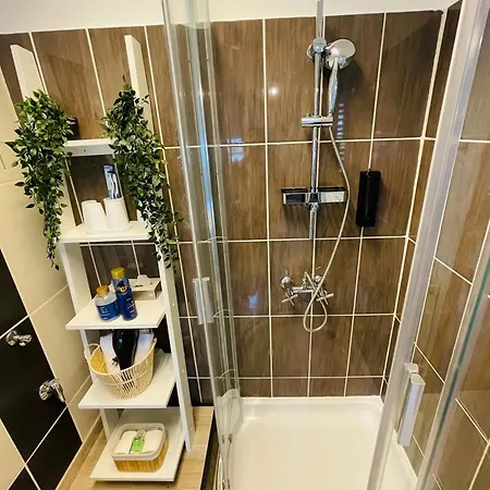 Alpesi Downtown Affittacamere 3*